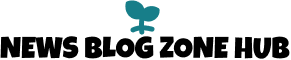 www.newsblogzonehub.com